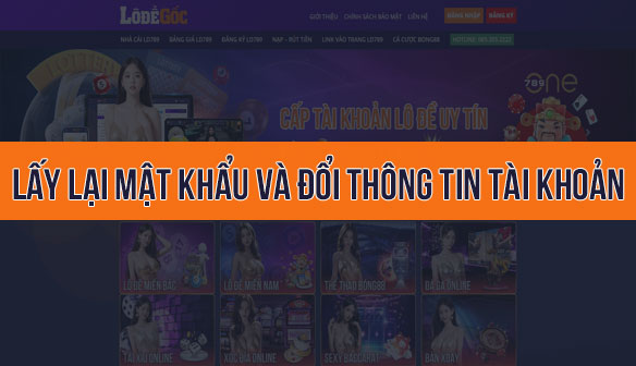 Hướng dẫn lấy lại mật khẩu và thay đổi thông tin tài khoản